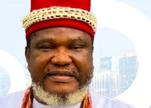 Ugezu J. Ugezu warns Nigerians who plan to ‘japa’ as he recounts how doctor turned butcher after selling his clinic to relocate abroad
