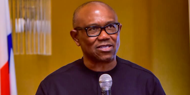 2027: I’m in a coalition against bad governance, hunger, poverty – Peter Obi