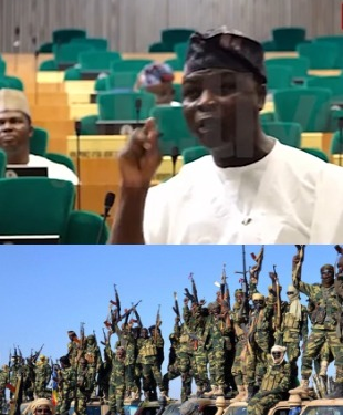 Boko haram terrorists more equipped than Nigerian army – Borno House of Reps member claims (video)