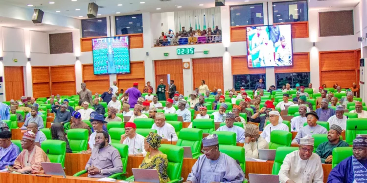 Insecurity: Nigerians will revolt if nothing is done — Reps warn FG