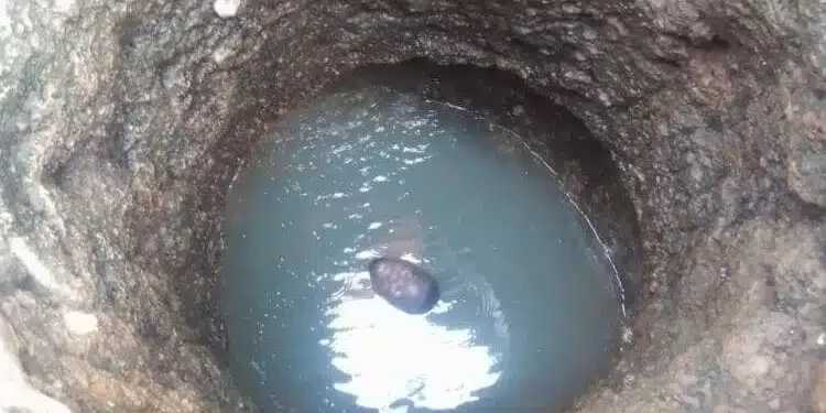 43-year-old man dies after taking Colorado and jumping into well following Eid prayer