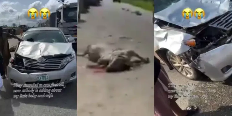 Man rants as herder’s cow rams into his car with family inside