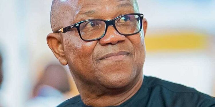 If I become president, I won’t rule by decree, Nigerians will feel the difference — Peter Obi