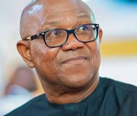 PDP begs Peter Obi and others to return to party