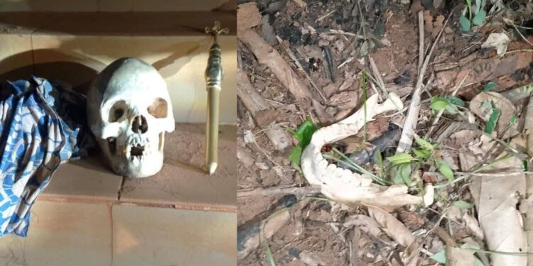 Human skull and ritual items discovered by police during raid in Enugu ‘church’