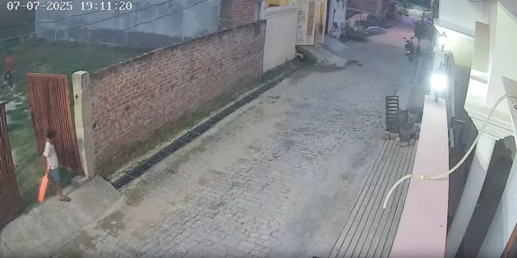 Terrifying moment boy is carried off in jaws of stray dogs as he plays by house (video)