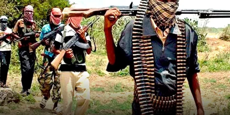 Sokoto: Terrorist Attack In Kwalajiya Village Leaves Over 20 Dead