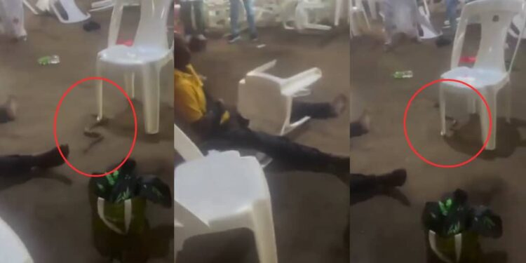 Worshipper allegedly vomits snake during deliverance (video)
