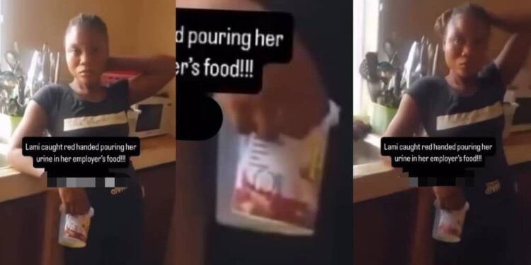 Disturbing video of house help caught trying to mix urine into employer’s food
