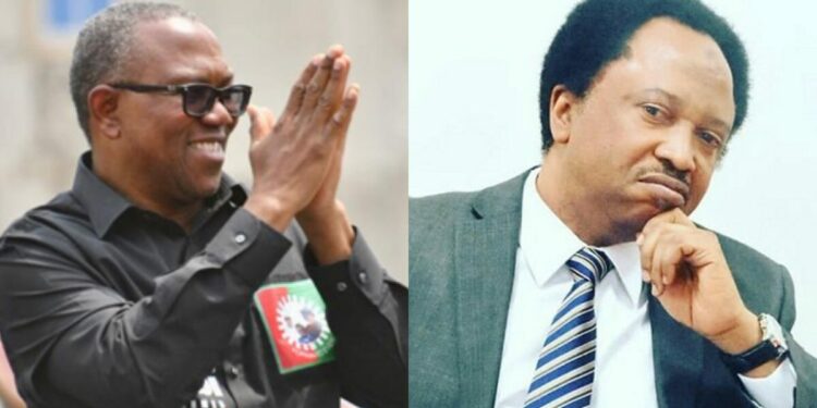 Peter Obi should remain in LP, avoid ADC coalition – Shehu Sani