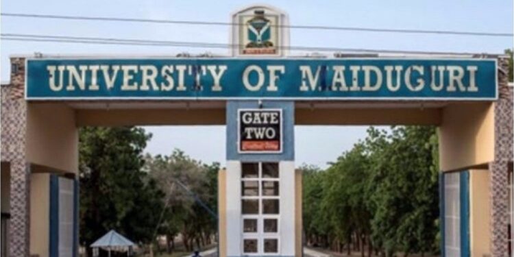 Tinubu renames University of Maiduguri after Buhari