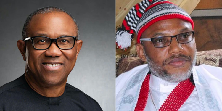 ‘It doesn’t make sense’ — Peter Obi on continued detention of Nnamdi Kanu