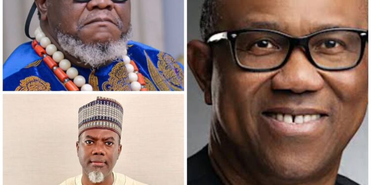 Accepting the job to demarket Peter Obi online is the most dangerous job ever – Filmmaker, Ugezu Ugezu, writes Reno Omokri