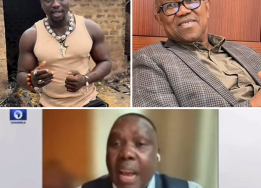 VDM has more empathy than Peter Obi. He is not a politician but he was in Benue unlike Obi – Presidential aide (video)