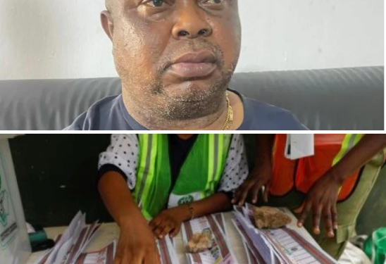 Lagos LG polls: Igbos are disenfranchised from voting, voted for – Ohanaeze