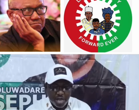 Our decision to make Obi a presidential candidate was a blunder with lasting consequences – Labour Party’s spokesman (video)