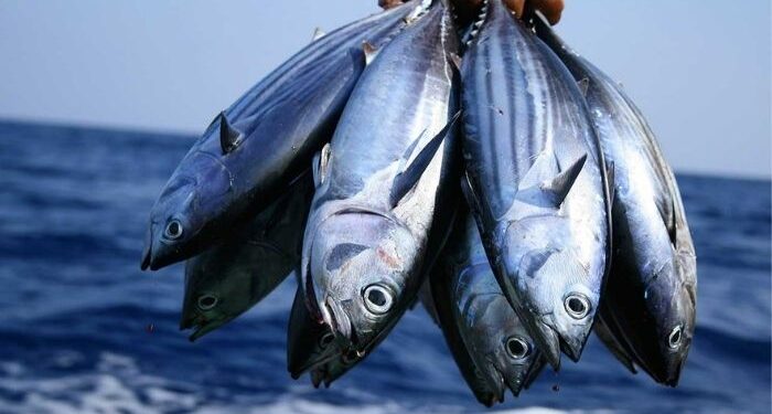 FG to end fish importation