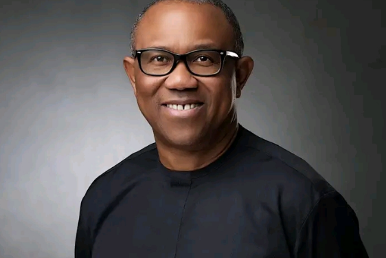 Peter Obi recounts rejecting ₦120M house gift, ₦20M birthday party