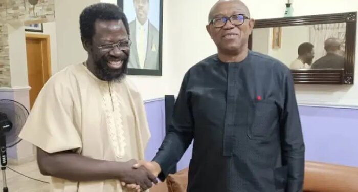 Obasanjo and Buhari’s 16 years ‘ruined’ Nigeria – Dele Farotimi backs Peter Obi’s one-term proposal