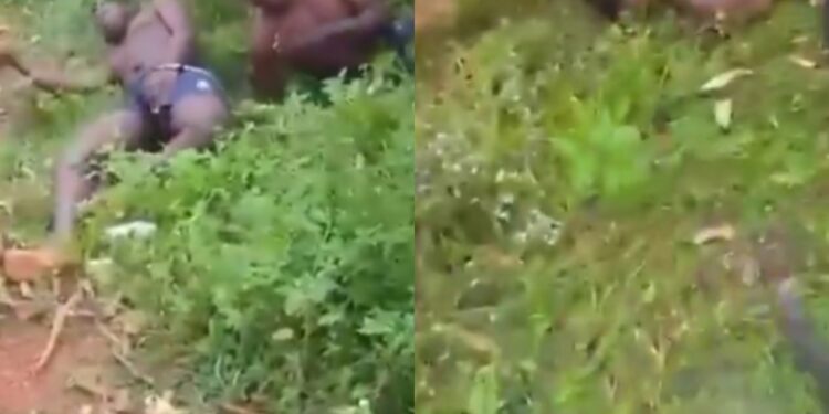 Gang leader shoots three men dead in broad daylight in Imo (video)