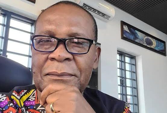 The killings in the South East is carried out by Igbos who then put the blame on Hausas and Fulani herdsmen – Joe Igbokwe