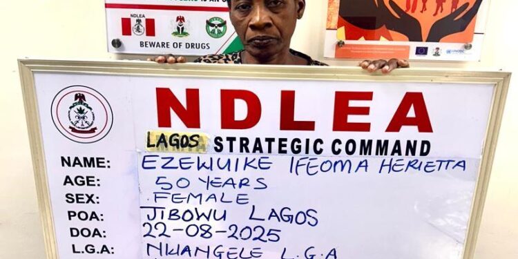 Widow using fake pregnancy to traffic cocaine arrested by NDLEA in Lagos