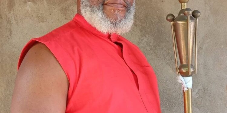 Prominent Anambra community leader slumps and dies at a public function
