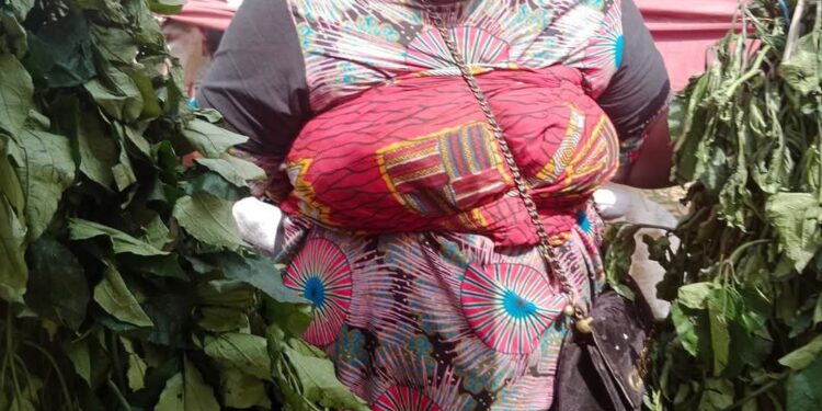 “I started going to bush markets 3 weeks after C-section” – Nigerian woman says as she addresses women who use motherhood as ‘excuse to be lazy’