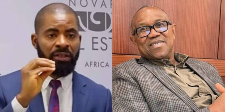 Go home and eat rice if you don’t want criticism – Deji Adeyanju tells Peter Obi