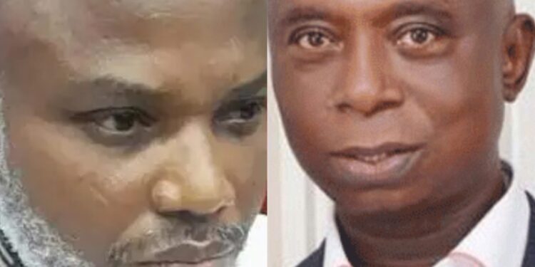 Nnamdi Kanu’s release will bring peace to South-East  —  Ned Nwoko