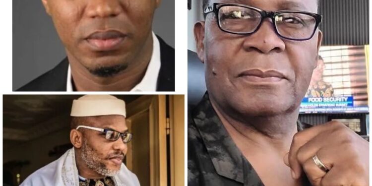 Run 440 away from South East matter – Joe Igbokwe warns Sowore