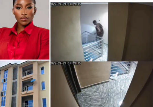 FCT police command confirms arrest of suspects involved in robbery attack that claimed the life of Arise TV reporter; release CCTV footage showing one of the suspects