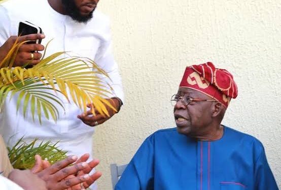 “Continue to make Nigeria proud” – Tinubu hails son Seyi at 40