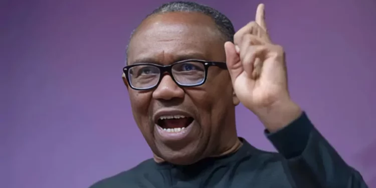 Stop calling my supporters street urchins – Peter Obi replies critics