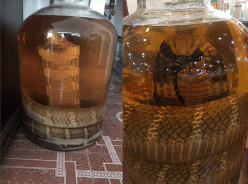 “I froze for a moment”- Lady displays scary item she saw while cleaning her brother’s room