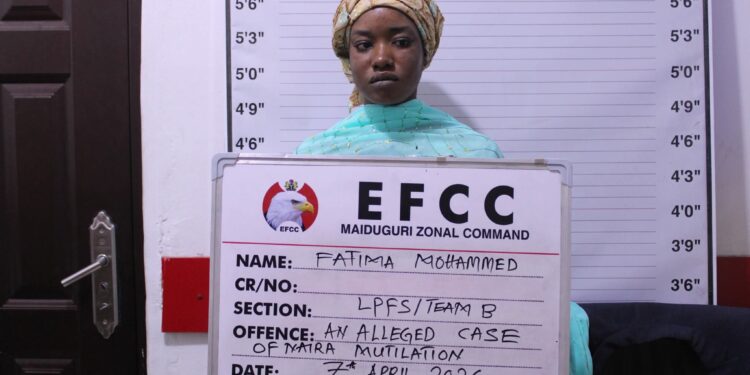 EFCC arrests woman in Maiduguri for cleaning mucus with naira notes