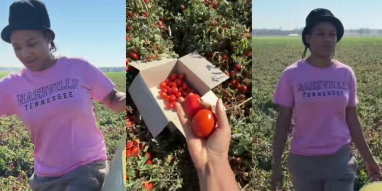 ”At this point “- Lady working as nurse in Australia returns to Nigeria, begins farming
