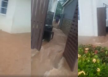 Wike has destroyed Abuja. The town is stinking and flooded – Activist Deji Adeyanju