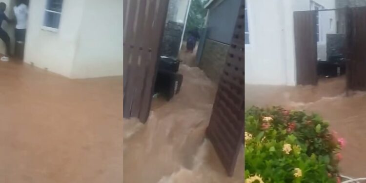 Wike has destroyed Abuja. The town is stinking and flooded – Activist Deji Adeyanju