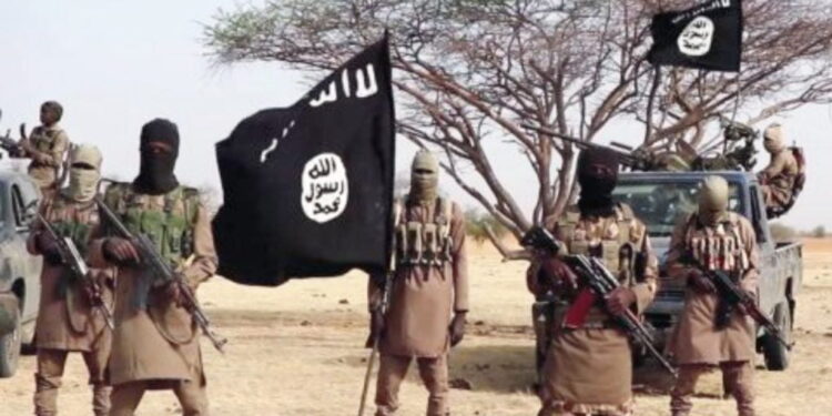 Again, Boko Haram Bombs Damaturu-Maiduguri 330kv Transmission Line