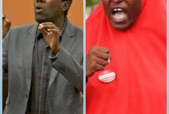 Aisha Yesufu Calls Omokri A Liar, He Responds