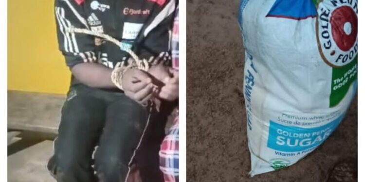 Amotekun arrests suspected food supplier to bandits in Ekiti