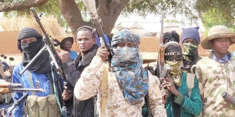 Bandits Appoint & Depose Village Heads In My Communities – Sokoto LG Chairman