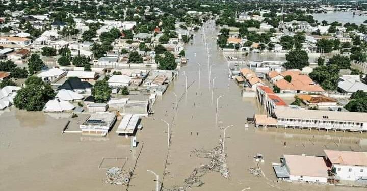 50% of flooded homes in Maiduguri now dry – Borno government