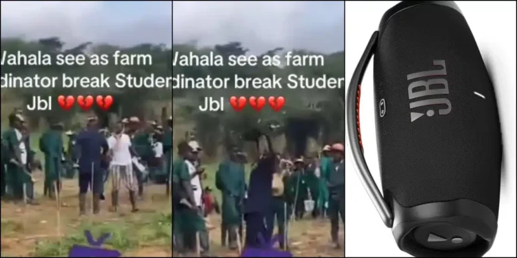 Drama as lecturer destroys student’s JBL speaker during field practical
