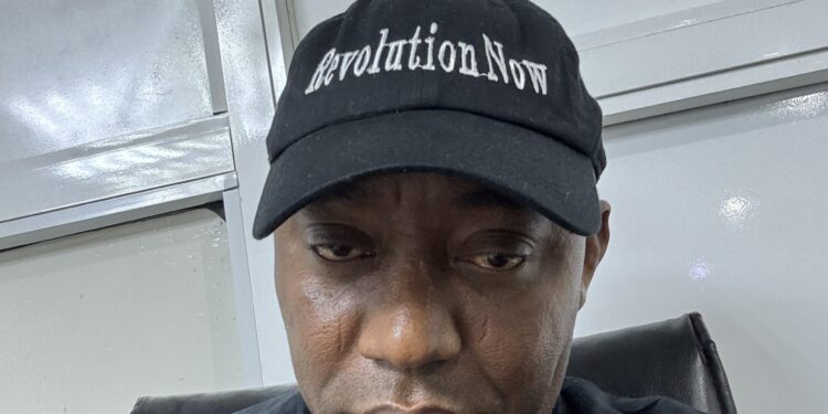 DSS arrests Omoyele Sowore on return to Nigeria