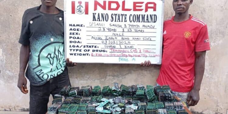 NDLEA nabs two drug kingpins with 125 wraps of heroin, seizes colorado, loud