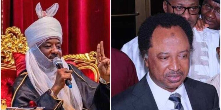 Shehu Sani reveals reason for heavy security presence at Kano palace