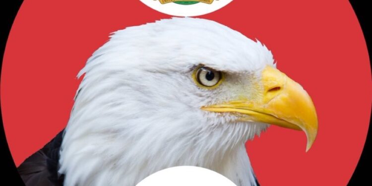 EFCC alerts Nigerians on 58 illegal Ponzi scheme operators