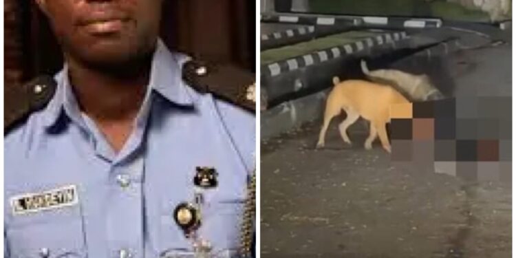 Benjamin Hundeyin reveals there were bite marks on the body of security guard allegedly mauled to death by dogs in Lagos estate after Nigerians raised doubts about cause of death